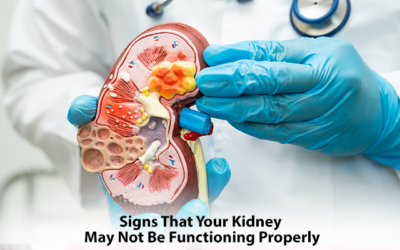 Signs That Your Kidney May Not Be Functioning Properly