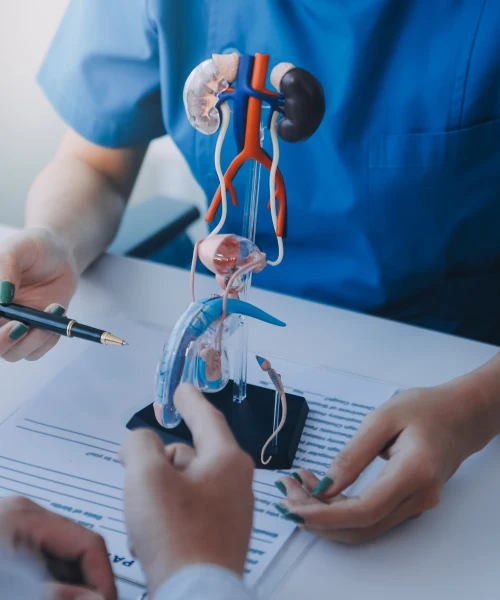 Urology