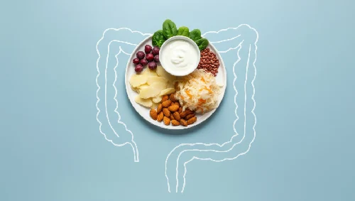 Digestive Health Nutrition