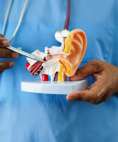 ENT Treatment
