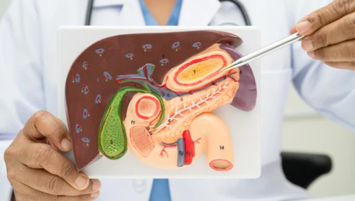 Gallbladder Infection Treatment