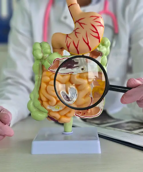 Gastroenterology