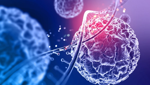 Menopause and Hormonal Transition Support