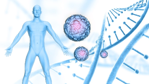 Male Hormonal Health