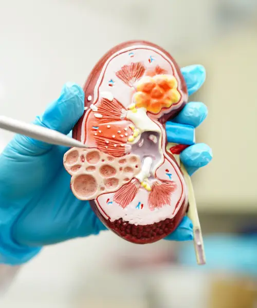 Nephrology